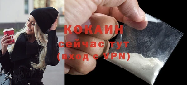 ПСИЛОЦИБИНОВЫЕ ГРИБЫ Горно-Алтайск