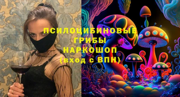 гашик Волосово