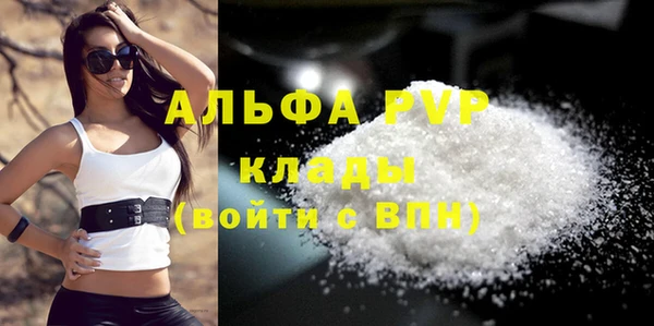 ПСИЛОЦИБИНОВЫЕ ГРИБЫ Горно-Алтайск