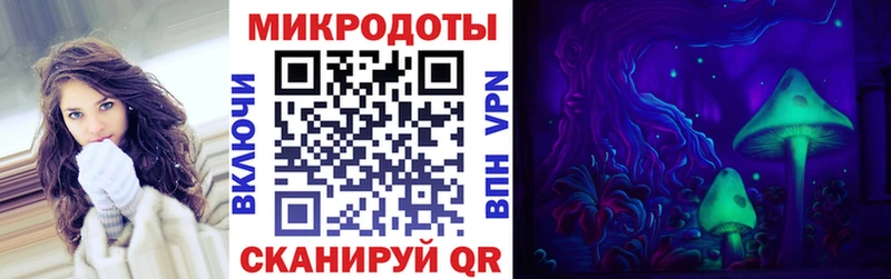 наркотики Гусиноозёрск Псилоцибиновые грибы Psilocybe